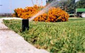 Irrigation