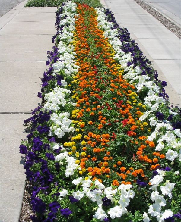 Lawrence, KS Landscape Design | Annuals and Perennials | Planting Flowers